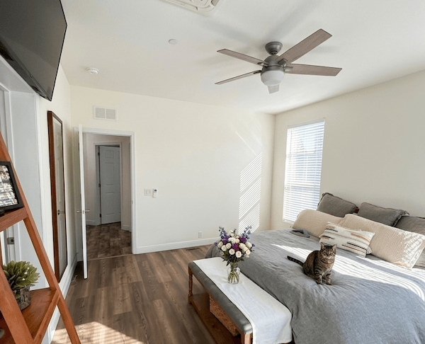 Bedroom Painting